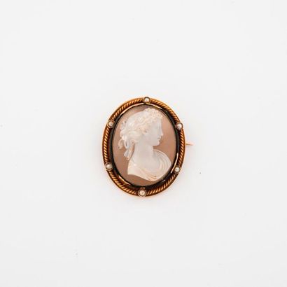 Brooch in yellow gold (750) centred on a...
