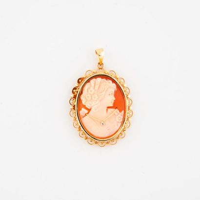 Yellow gold (750) medallion pendant holding...