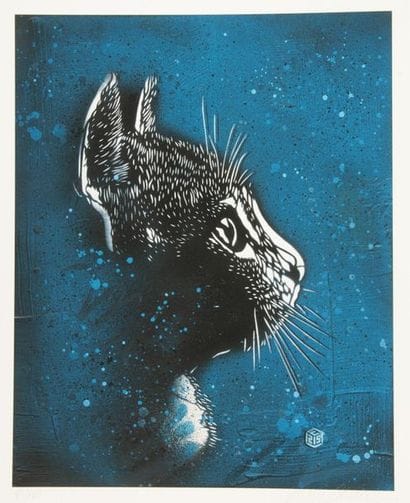 C215 (1973)


Felix. 

Silkscreen in colours...