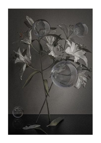 PATRICEJEAN_BAPTISTE
THE BUBBLE LYS prints...