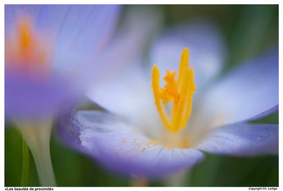 Christophe Lartige
Art print. Photo entitled...