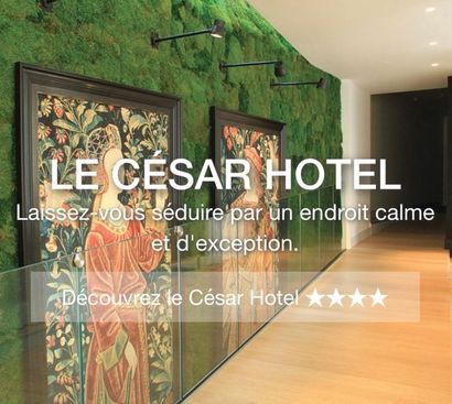 LE CÉSAR HÔTEL 4*
Design hotel in Provins...