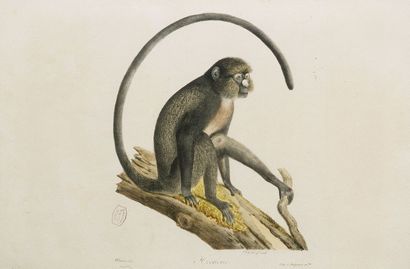 Julia Roger
Lithography Hocheur / 1/4 of...