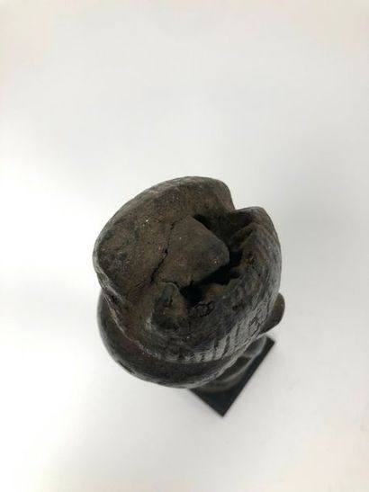 COTE D'IVOIRE, Agni

Standing female statue.

Made...