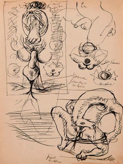 André MASSON (1896-1987)


Study for sperm...