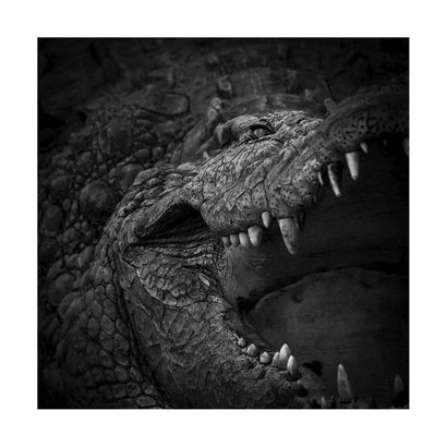 Tambou Odile
Photograph, print on paper Hahnemuhle...