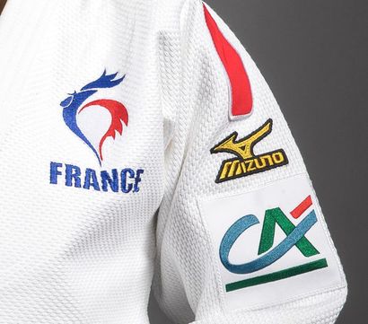 Fédération Française de Judo, Jujitsu, Kendo...