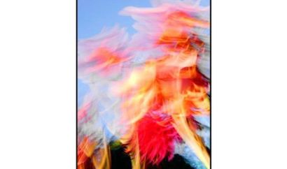 Francis GROSJEAN
Le Messager NATURE DIVINITY
Series...