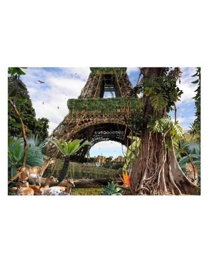 CHRIS MORIN-EITNER
Paris jungle Eiffel Tower...