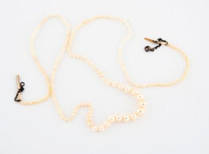 Falling necklace of seeds of white pearls...