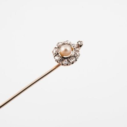 Tie pin in yellow gold (750) and platinum...