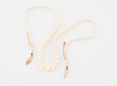 Falling white cultured pearl necklace. 

Ratchet...