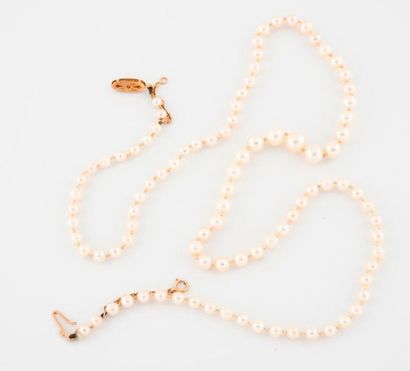 Falling white cultured pearl necklace. 

Ratchet...