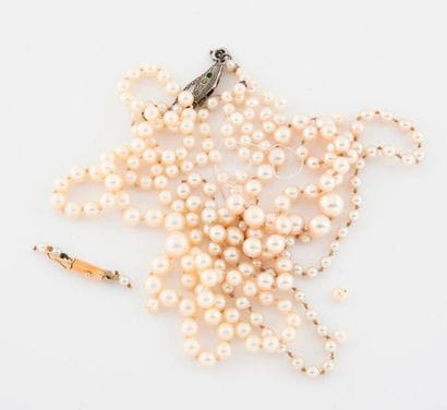 Two necklaces of white cultured pearls.

Accidental.

Attached:

One...