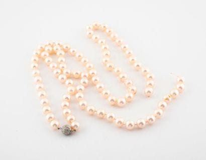 Long necklace of white cultured pearls choker....