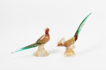 MURANO, dans le goût de
Pheasant and pheasant...
