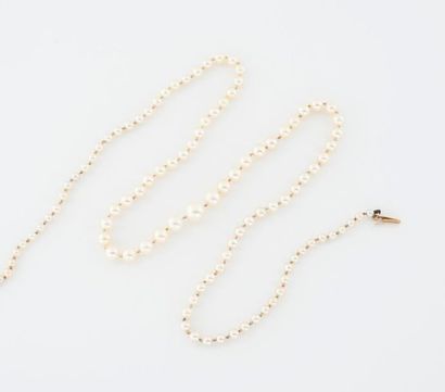 Collier de perles de culture en chute. 
Fermoir...