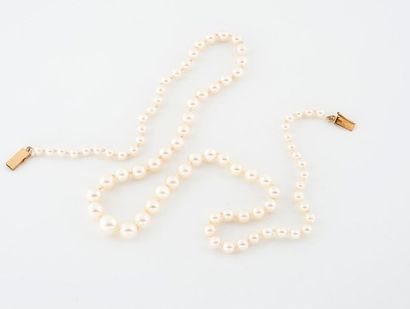 Collier de perles de culture blanches en...