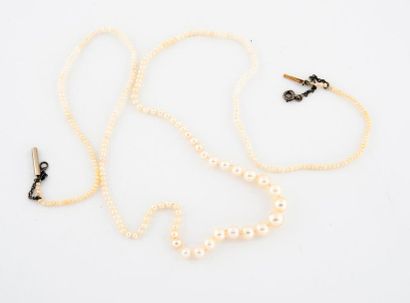 Collier en chute de semences de perles et...