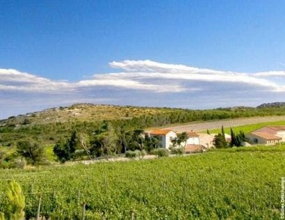 VINS GÉRARD BERTRAND
Un week-end au Château...