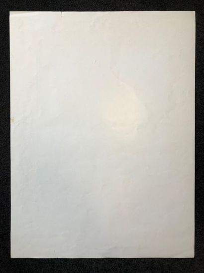 Francis Tailleux (1913-1981)
Chardon rouge.
Lithographie...