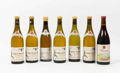 CHABLIS Grand Cru Les Clos
Vincent Dauvissat....