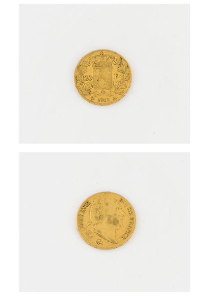 France
20 gold franc coin, Louis XVIII, 1819,...