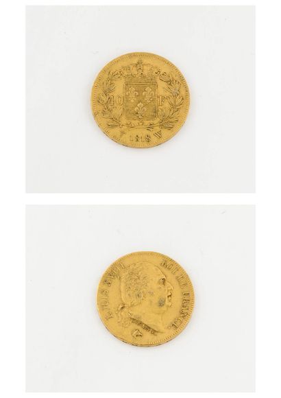 France
40 gold francs coin, Louis XVIII,...