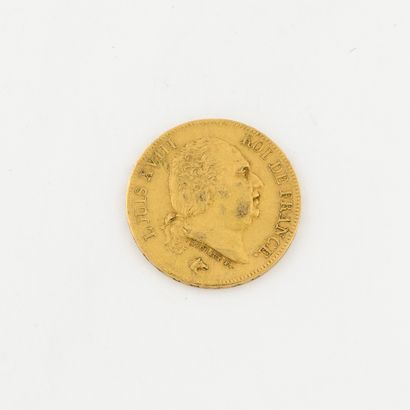 France
40 gold francs coin, Louis XVIII,...