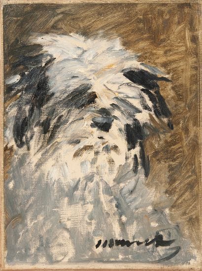 Edouard MANET (1832-1883)
Le Chien 