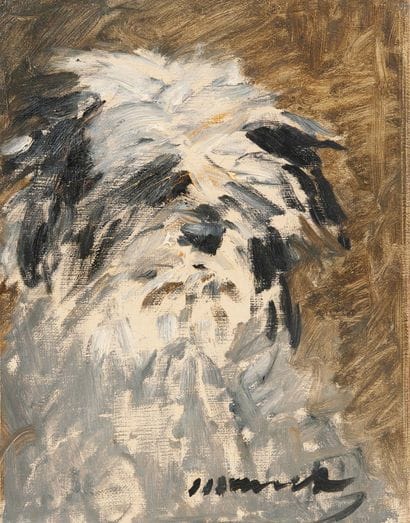 Edouard MANET (1832-1883)
Le Chien 