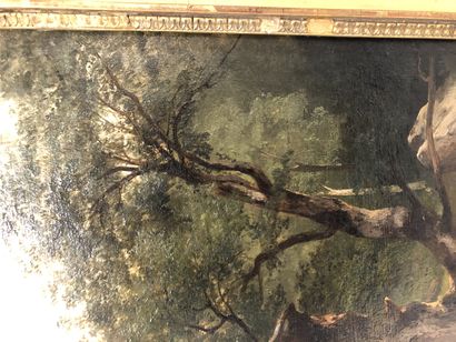 Jules COIGNET (1798-1860)
Oak study (Fontainebleau)....