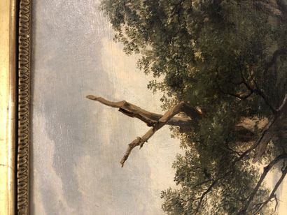 Jules COIGNET (1798-1860)
Oak study (Fontainebleau)....