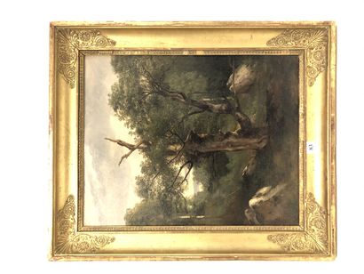 Jules COIGNET (1798-1860)
Oak study (Fontainebleau)....