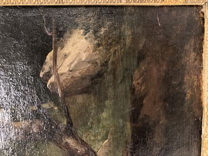 Jules COIGNET (1798-1860)
Oak study (Fontainebleau)....