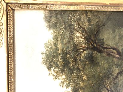 Jules COIGNET (1798-1860)
Oak study (Fontainebleau)....