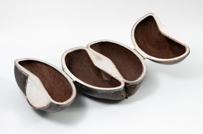 CHRISTIAN DIOR
Cocofesse (Lodoicea maldivica,...