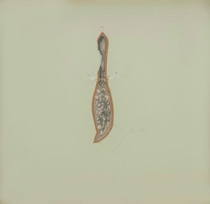 Philippe FAVIER (1957)

L'archipel des Pacotilles,...