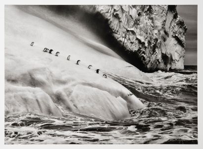 SEBASTIAO SALGADO (1944)

South sandwich...
