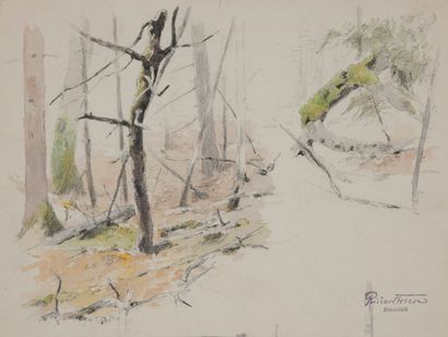 Richard FRIESE (1854-1918)

Etude de sous-bois.




Crayon...