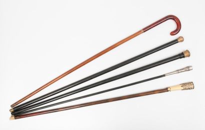 Set of 5 canes:
- one with a trapezoidal...
