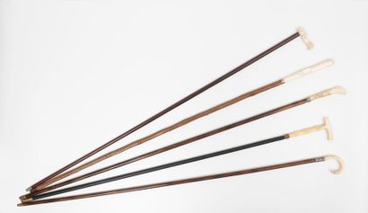 Lot of 5 canes, first third of the 20th century:...