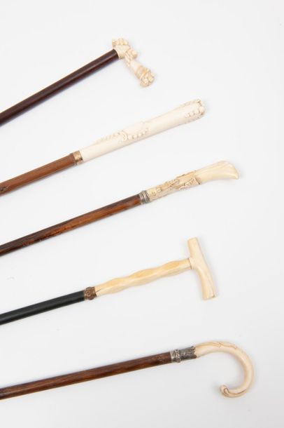 Lot of 5 canes, first third of the 20th century:...