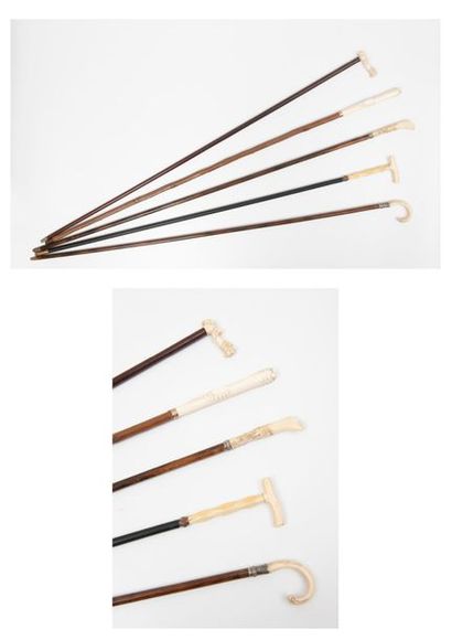 Lot of 5 canes, first third of the 20th century:...