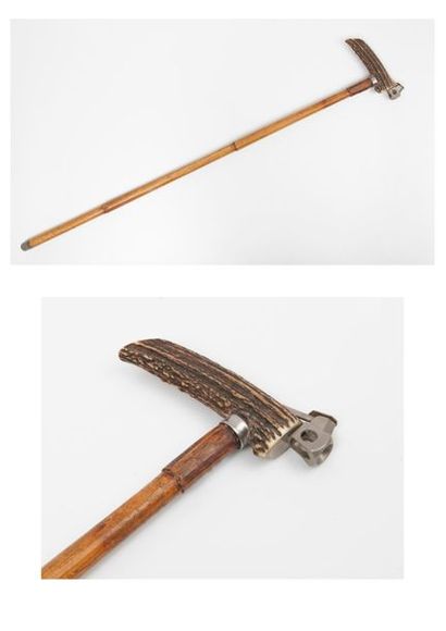 Two canes:
- one with antler pommel and cigar...