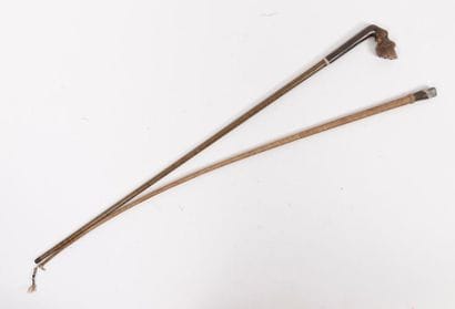Cane, early 20th century.
Brown horn pommel...