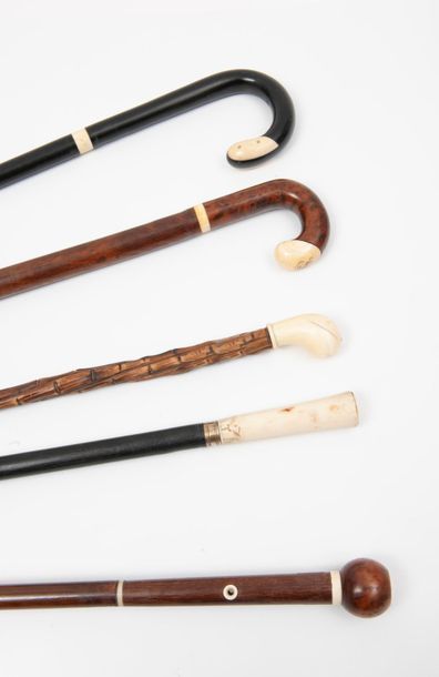 Lot of 5 canes around 1920: 
 - one with...