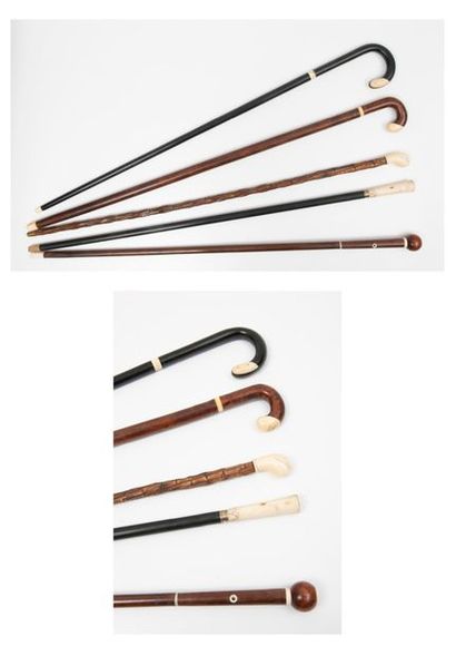Lot of 5 canes around 1920: 
 - one with...