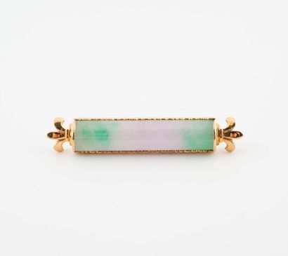 Brooch in yellow gold (750) enclosing a bicoloured...