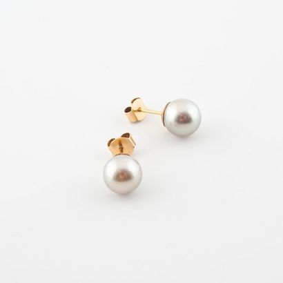 Paire de puces d'oreilles en or jaune (750)...